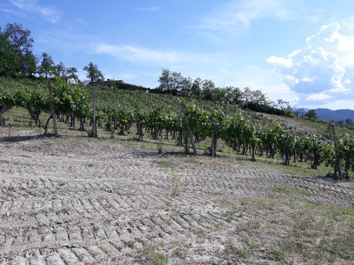 Agriturismo Il Biancospino Bed & Wine Apartman Lerma Kültér fotó