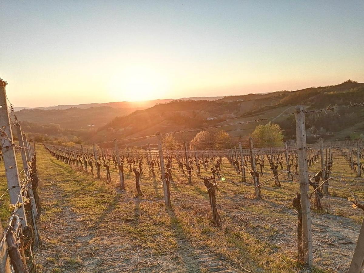 Agriturismo Il Biancospino Bed & Wine Apartman Lerma Kültér fotó